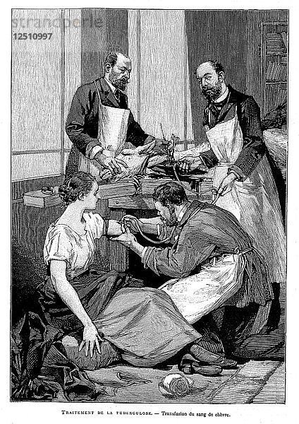 Ein Tuberkulosepatient erhält eine Transfusion von Ziegenblut  1891. Künstler: Unbekannt