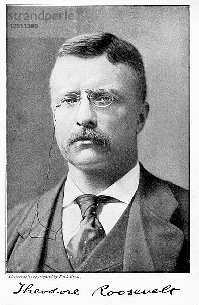 Theodore Teddy Roosevelt  amerikanischer Präsident  1901-1909. Künstler: Unbekannt