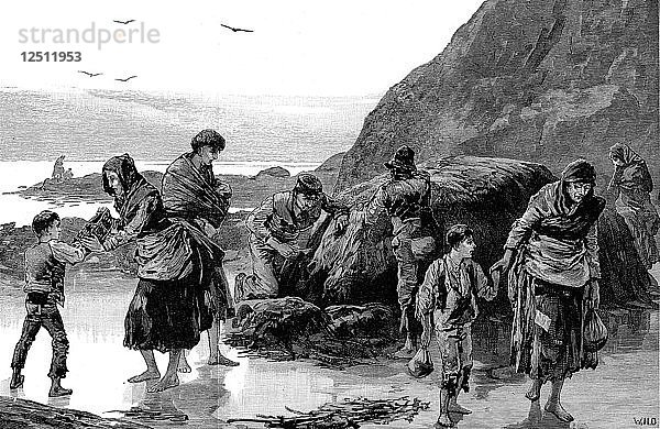 Folgen der Hungersnot  Irland (1840er Jahre)  1886. Künstler: Unbekannt
