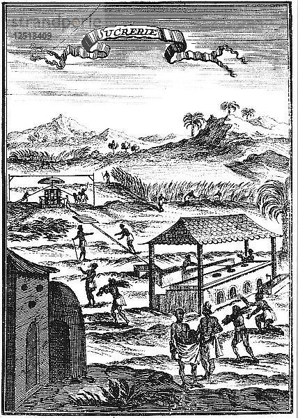 Zuckerfabrik und Plantage auf den Westindischen Inseln  1686. Künstler: Allain Manesson Mallet