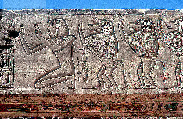 Relief von Ramses III. und heiligen Pavianen  Totentempel  Medinat Habu  Ägypten  ca. 12. Jahrhundert v. Chr. Künstler: Unbekannt