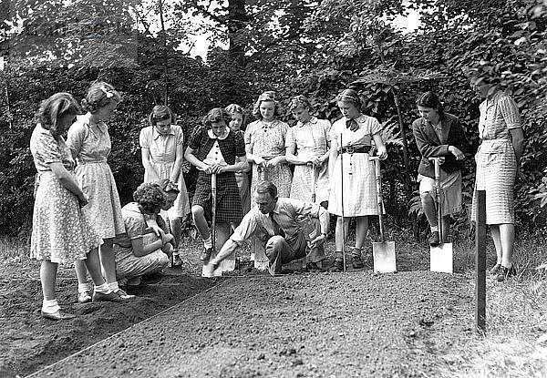 Eine Demonstration des Grabens in einem Gartenbaukurs während des Krieges  York  Yorkshire  1941. Künstler: Unbekannt