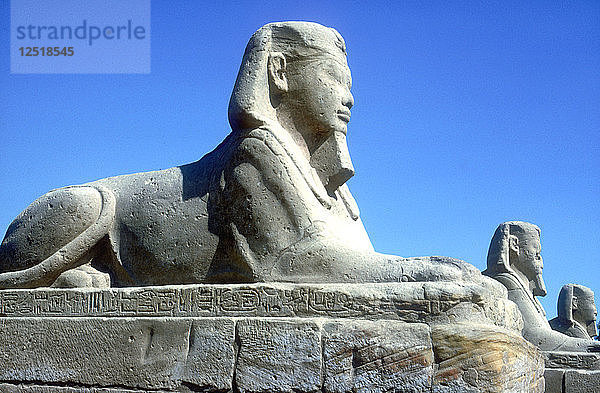 Eine Sphinx aus der Sphinx-Allee  Tempel des Amun Mut & Khons  Luxor  Ägypten  um 370 v. Chr. Künstler: Unbekannt