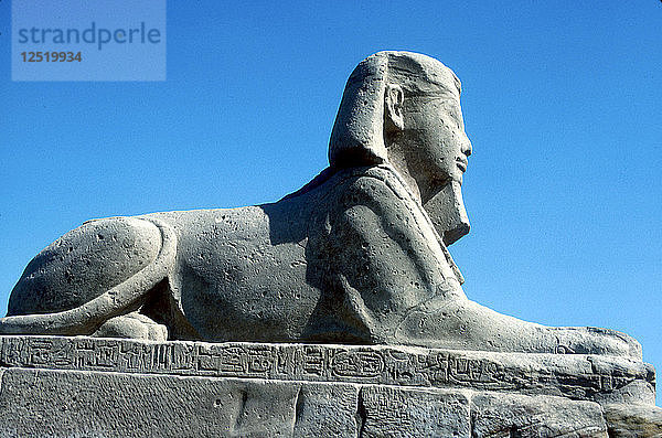 Eine Sphinx aus der Sphinx-Allee  Tempel des Amun Mut & Khons  Luxor  Ägypten  um 370 v. Chr. Künstler: Unbekannt