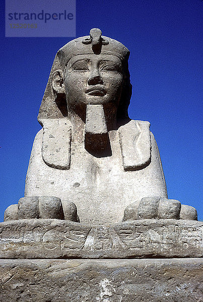 Frontalansicht der Sphinx von der Allee der Sphinxen  Tempel des Amun Mut & Khons  Luxor  Ägypten. Künstler: Unbekannt