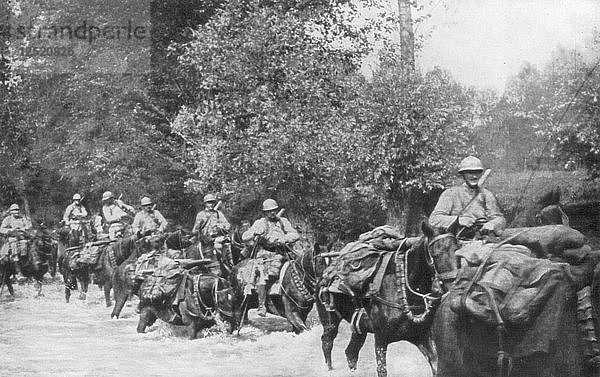 Nachschub für eine Maschinengewehr-Einheit zu Pferd  Aisne  Frankreich  2. September 1918. Künstler: Unbekannt