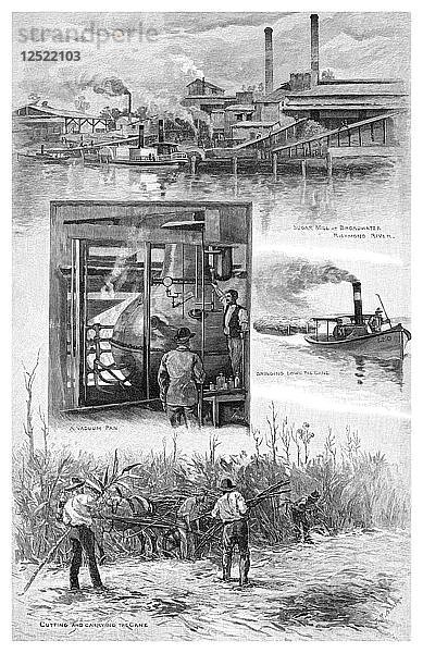Die Zuckerindustrie  Richmond River  New South Wales  Australien  1886  Künstler: JR Ashton