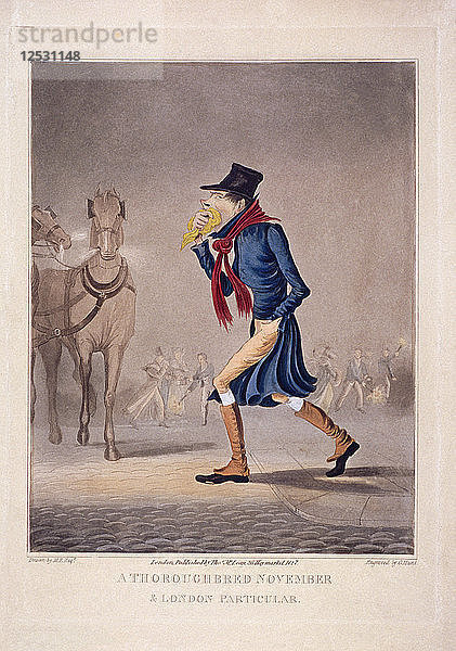 Ein reinrassiger November und Londoner Besonderheit  1827. Künstler: George Hunt