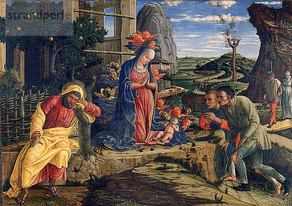 Die Anbetung der Hirten  um 1450. Künstler: Andrea Mantegna