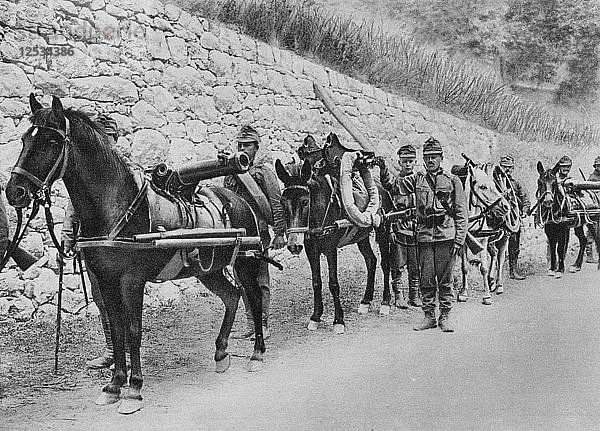 Österreichische Soldaten  Österreichisch-italienischer Krieg  Schlacht am Isonzo  Erster Weltkrieg  1915. Künstler: Unbekannt