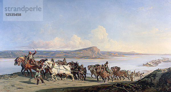 Befestigung von Pferden  die Boote auf der Rhone ziehen  um 1825-1870. Künstler: Alexandre Dubuisson