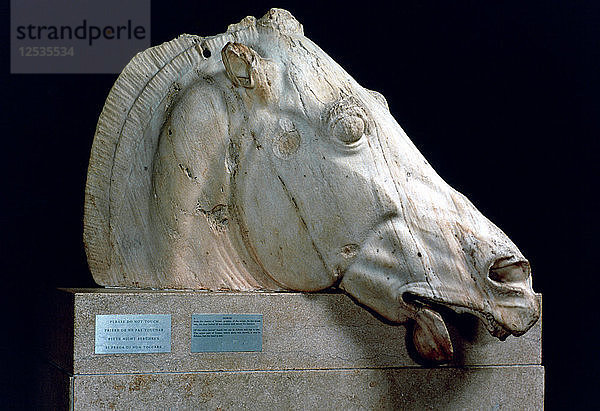 Kopf eines Pferdes aus dem Wagen der Selene vom Ostgiebel des Parthenon  447-432 v. Chr. Künstler: Unbekannt