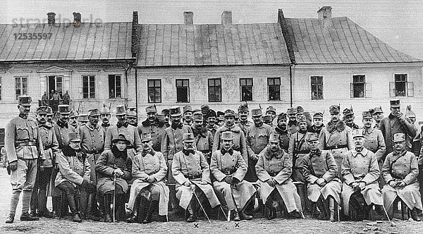Erzherzöge Friedrich und Karl von Österreich mit ihren Offizieren  Erster Weltkrieg  1915. Künstler: Unbekannt