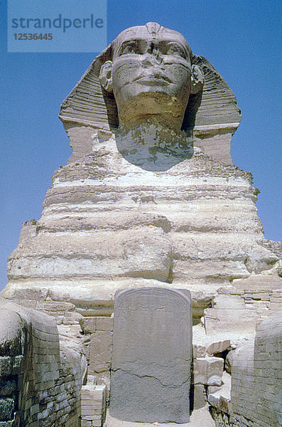 Die Große Sphinx von Gizeh  Gizeh-Plateau  Ägypten. Künstler: Unbekannt