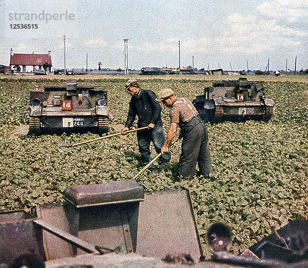 Verlassene französische Panzer in einem Feld  Dünkirchen  Frankreich  1940. Künstler: Unbekannt