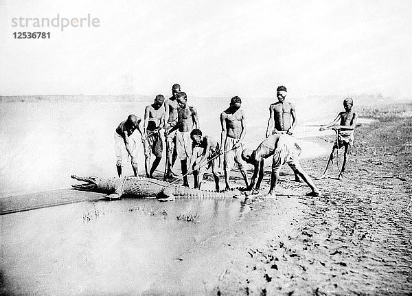 Jagd auf ein Krokodil  Nubien  Ägypten  1887. Künstler: Henri Bechard