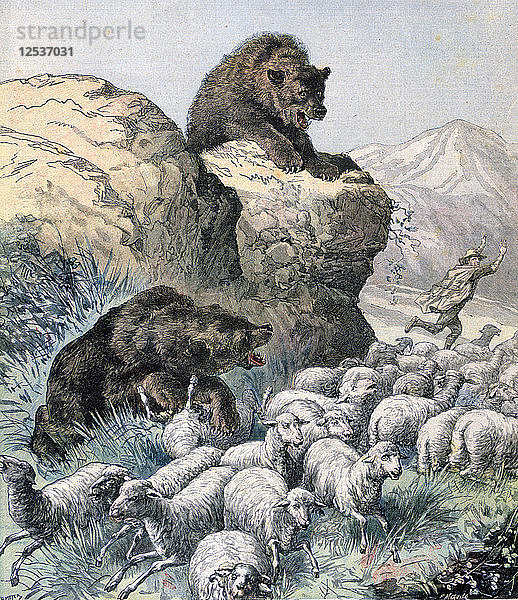 Bären der Kagyren  1891. Künstler: F. Meaulle