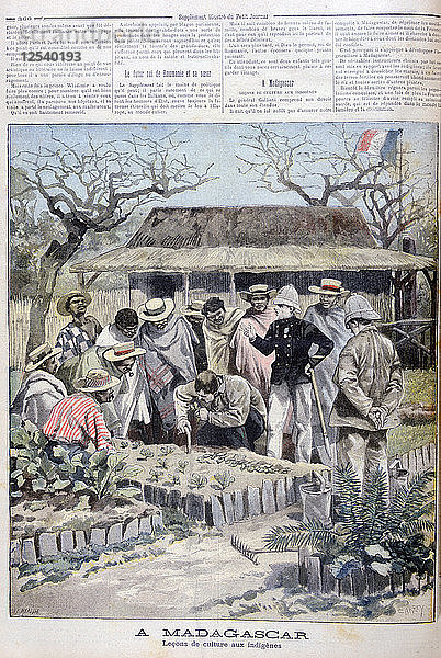Landwirtschaftlicher Unterricht für die Eingeborenen von Madagaskar  1897. Künstler: F. Meaulle