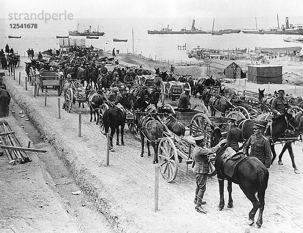Pferdetransport  alliierte Operationen in den Dardanellen  Türkei  1915-1916. Künstler: Unbekannt