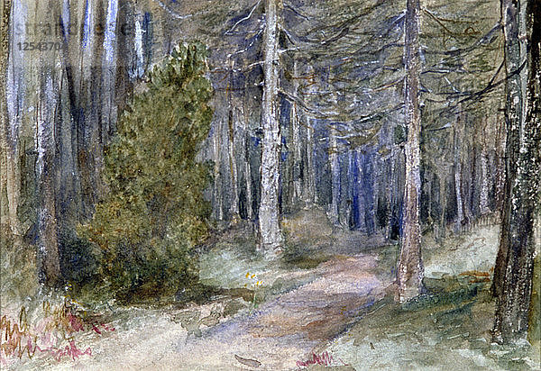 In einem Wald  um 1864-1930. Künstlerin: Anna Lea Merritt