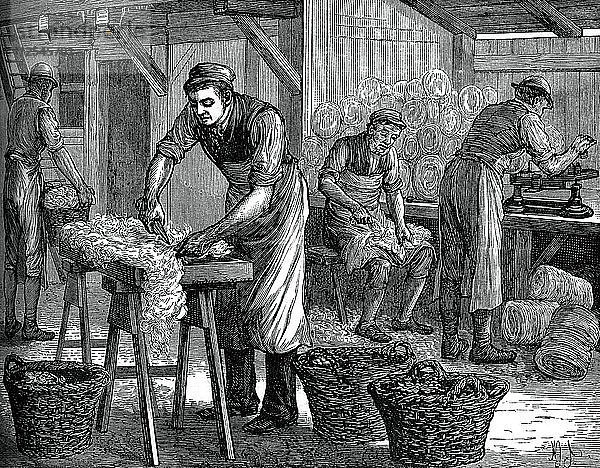 Wollsortierer  um 1880. Künstler: Unbekannt