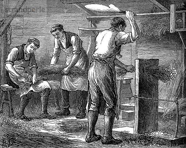 Handschneider bei der Arbeit  um 1880. Künstler: Unbekannt