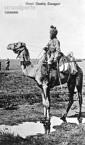 Kamel-Kavallerie-Transport  Indien  20. Jahrhundert. Künstler: Unbekannt