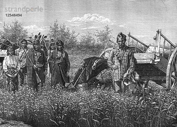 Kanadische Ureinwohner  19. Jahrhundert.Künstler: Dupuy