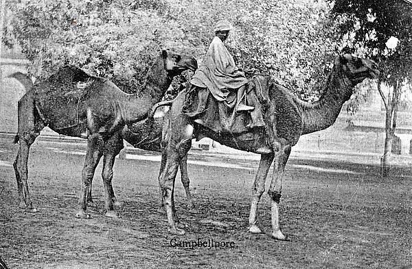 Campbellpore  Pakistan  20. Jahrhundert. Künstler: Unbekannt