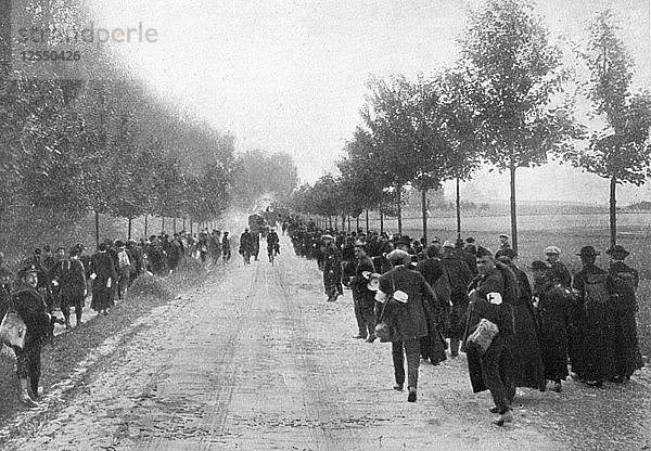 Belgier auf der Flucht aus Termonde  Erster Weltkrieg  1914  (1920). Künstler: Unbekannt