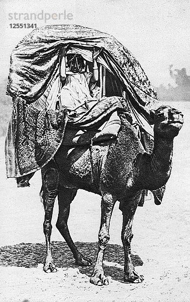 Ein Mädchen auf einer Kamelsänfte  Algerien  1922. Künstler: Kreta