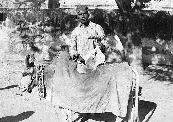 Mann mit deformierter Kuh  Indien  1916-1917. Künstler: Unbekannt
