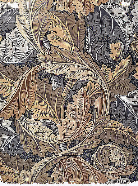 Akanthus  Tapete entworfen von William Morris  1875. Künstler: William Morris