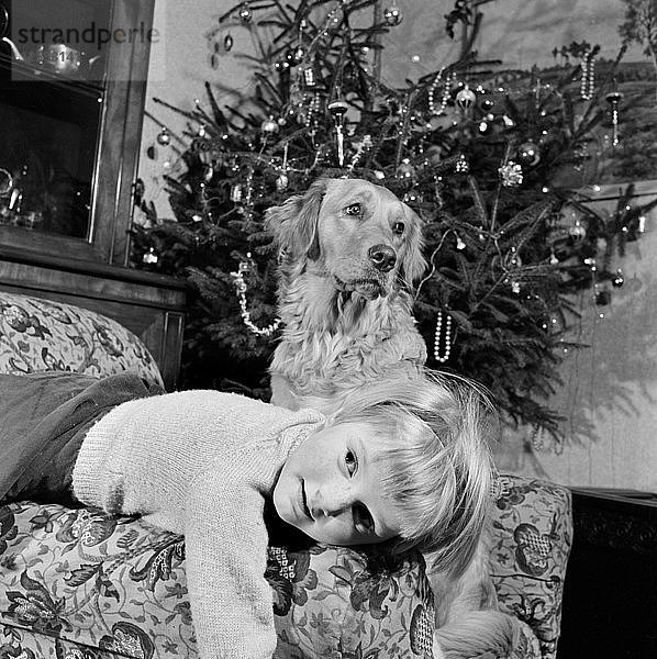 Kind  Hund und Weihnachtsbaum  Dezember 1960. Künstler: John Gay