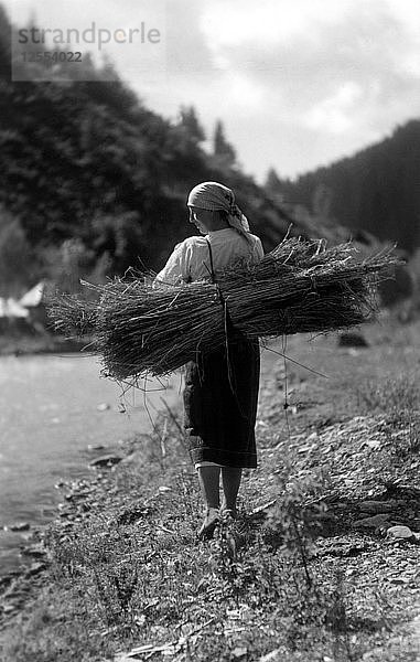 Frau trägt ein Bündel Stöcke  Bistrita-Tal  Moldawien  Nordost-Rumänien  ca. 1920-c1945. Künstler: Adolph Chevalier