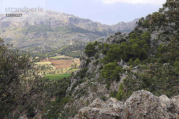 Berglandschaft in der Nähe von Lluc  Mallorca.