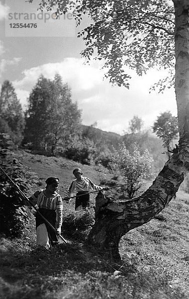 Frauen bei der Erntearbeit  Bistrita-Tal  Moldawien  Nordost-Rumänien  ca. 1920-c1945. Künstler: Adolph Chevalier
