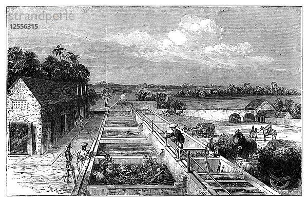 Herstellung von Indigo in Tirhoot (Muzaffarpur)  Niederbengalen  1869. Künstler: Unbekannt