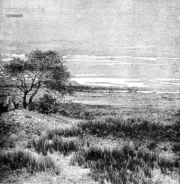 Agha-Tal  Zentralpampa  Argentinien  1895. Künstler: Unbekannt
