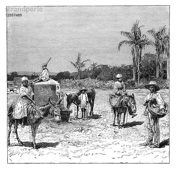 Gruppe von Haitianern  um 1890. Künstler: Unbekannt