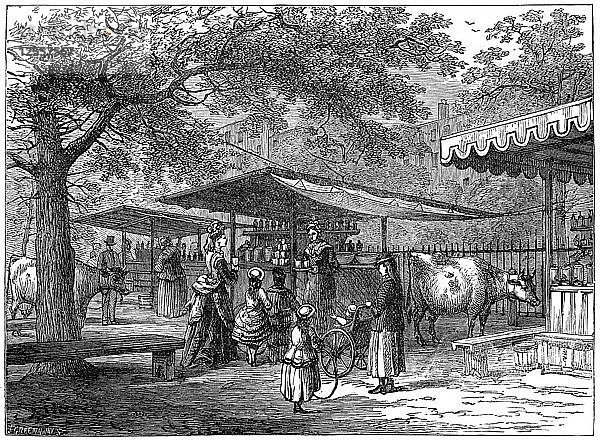 Ein Milchmarkt  St. Jamess Park  London  1891 Künstler: J. Greenaway