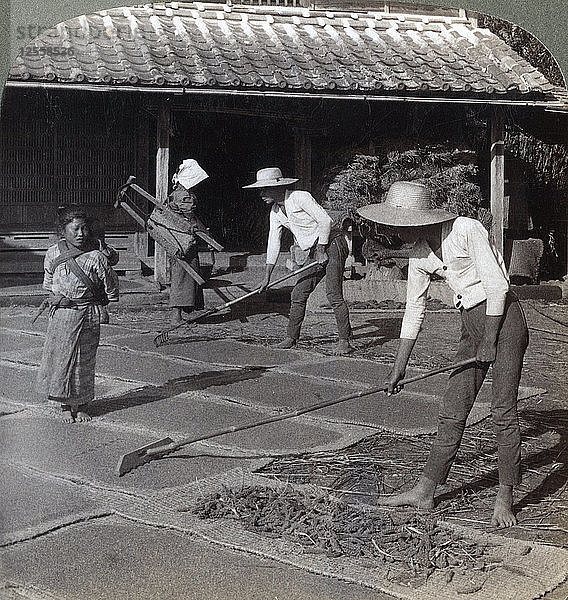 Bauern mit Bambusrechen  die Hirse zum Trocknen für den Winter auf Matten ausbreiten  in der Nähe von Yokohama  Japan  1904. Künstler: Underwood & Underwood