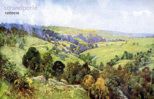 Auf den Hügeln bei Harrogate  Yorkshire  1924-1926.Künstler: George F. Nicholls