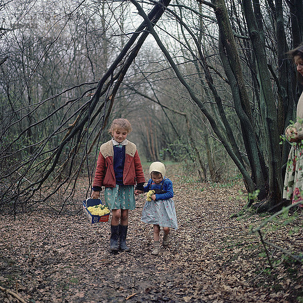 Zwei junge Zigeunermädchen  Mitglieder der Familie Vincent  Charlwood  Gebiet Newdigate  Surrey  1964.