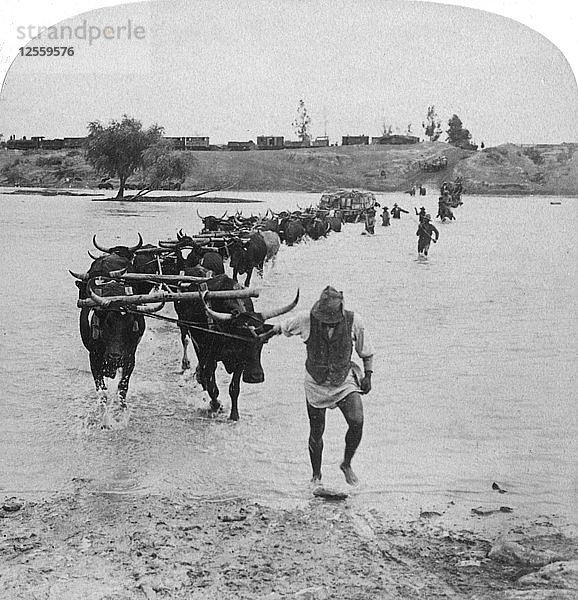 Fording the Modder River  Burenkrieg  Südafrika  15. Februar 1901.Künstler: Underwood & Underwood