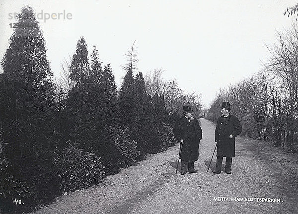 Zwei Männer gehen im Schlosspark spazieren  Landskrona  Schweden  1900. Künstler: Borg Mesch
