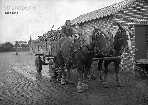 Mit Zuckerrüben beladener Pferdewagen in einer Zuckermühle  Arlöv  Schonen  Schweden  um 1940(?). Künstler: Otto Ohm