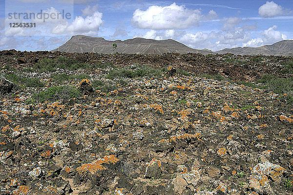 Vulkanische Landschaft  Malpais Grande  Fuerteventura  Kanarische Inseln.