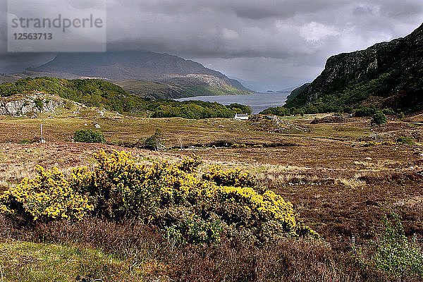 Loch Maree  Highland  Schottland.