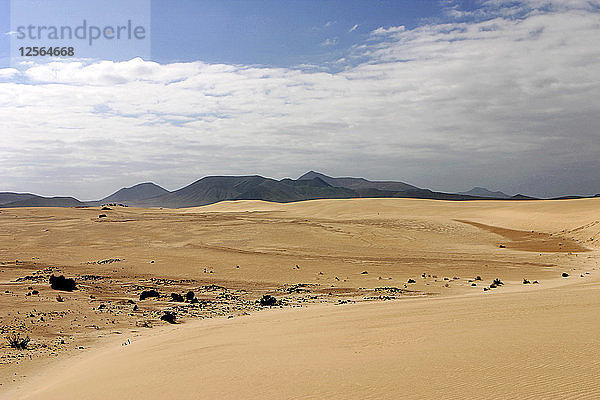 Sanddünen  Corralejo  Fuerteventura  Kanarische Inseln.